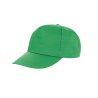 Result Houston Printers Cap