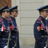 agraf_nekla_praga_14