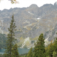 1234136_10151719950483644_100170786_n