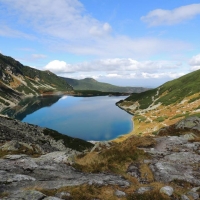 1235422_10151719947208644_1913841548_n