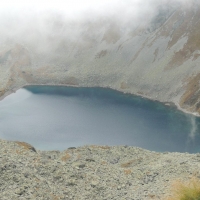 1236153_10151719947838644_513340934_n