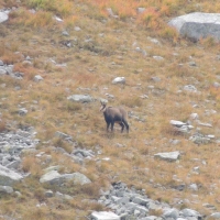 1239849_10151719947348644_1917264470_n