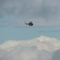 154455_10151719947508644_1503216160_n-1