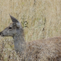 155803_10151719950718644_1988526782_n-1