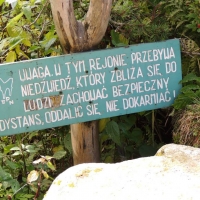 563578_10151719946733644_186371522_n