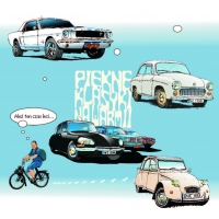 pikne-klasyki-2014_strona_29