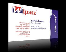 Wizytówka firmy WIPASZ