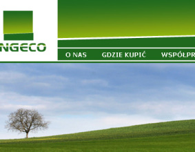 Strona www ENGECO