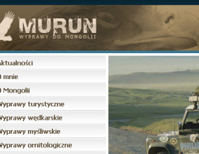 Strona www Murun
