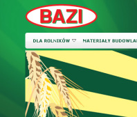 Strona www Bazi